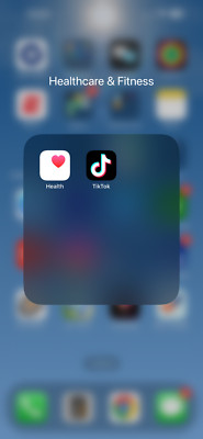 Apple iPhone 14 Pro Max with TikTok - 128 GB - Silver (Unlocked)