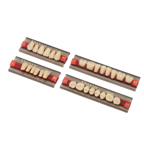 Dental Synthetic Resin Denture Tooth Men Shade A3 425 Teeth For Replacement ZZ1 - Afbeelding 1 van 12