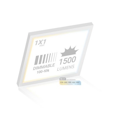 1x1 Ft Led Square Surface Mount Panel 5cct 2700k/3000k/3500k/4000k/5000k Selecta