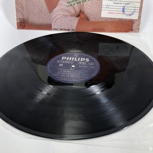 1984 PolyGram Records David Lee Chinese Pop Promo Sample 33 RPM Vinyl LP RARE! - Picture 7 of 10