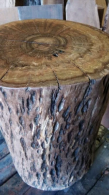 Bespoke Tree Trunk Side Table Gumtree Australia Bassendean Area