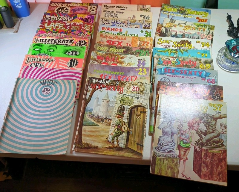 Sex To Sexty Magazine Lot 26 Vintage Issues From the 1960  1970 Pierre Davis 
