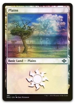 Plains (481) (Foil Etched) #481 (NM) Modern Horizons 2 MH2 Magic MTG