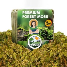 5 Oz Real Dried Forest Moss for Potted Plants, Plant Propagation