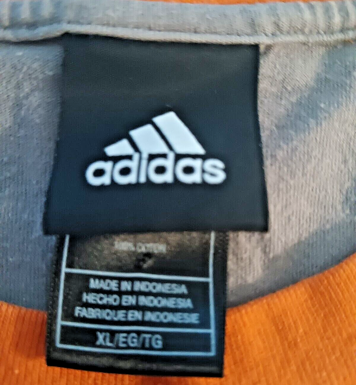 Foto 4 di 5