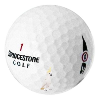 36 Bridgestone e6 Used Golf Ball 4A+/5A 36 e6 Bridgestone e6