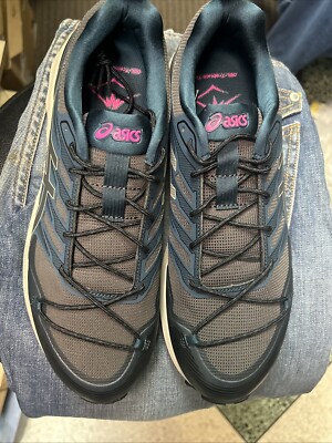 ASICS Gel Trabuco Terra blau und rosa unbenutzt Gr. 42,5
