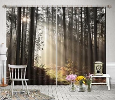 3D Hopeful Sunshine ZHUA2991 Photo Curtain Window Blockout Fabric Vera 2023