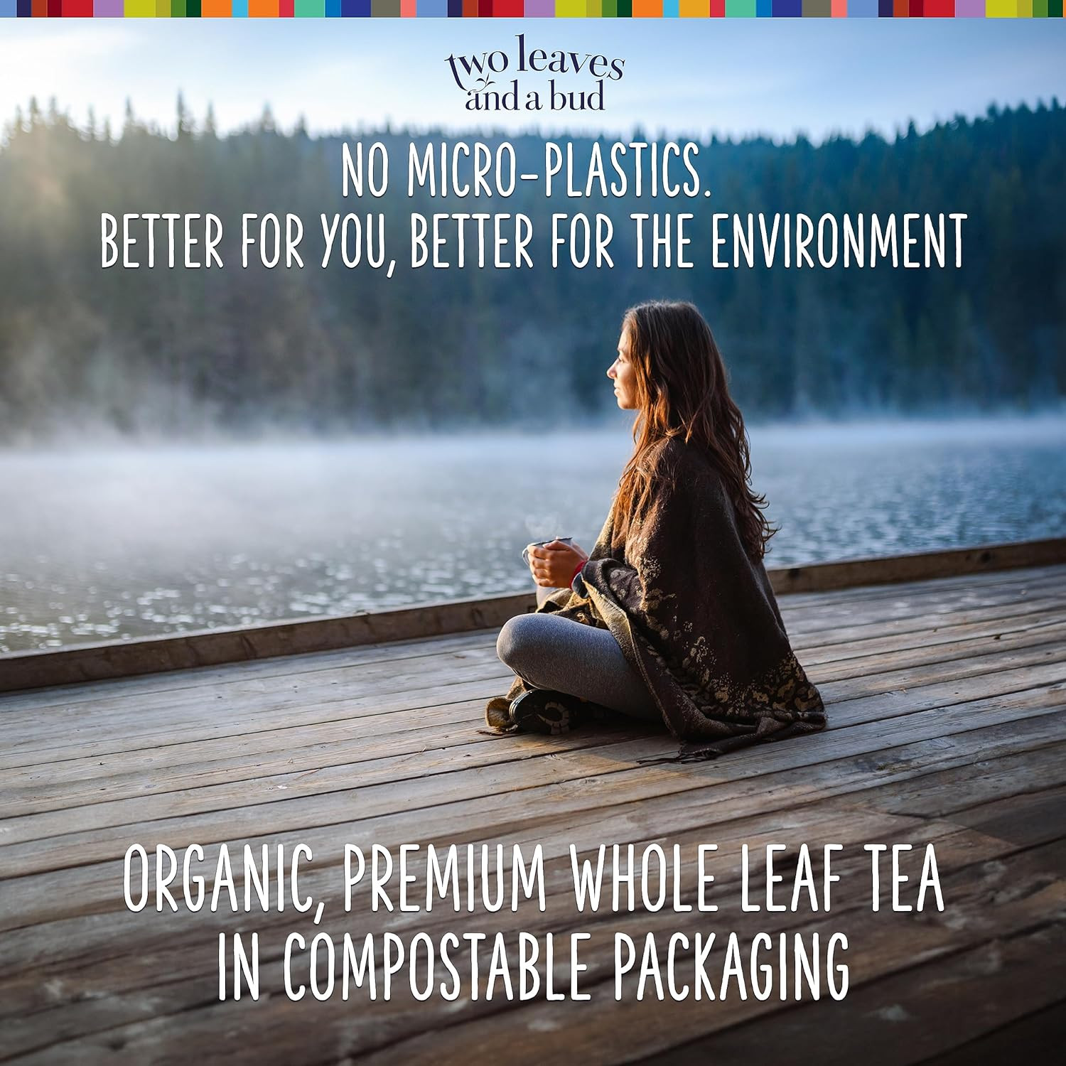 Two Leaves and a Bud Organic Mountain High Chai Black Tea Bags, 100 Count, Organ