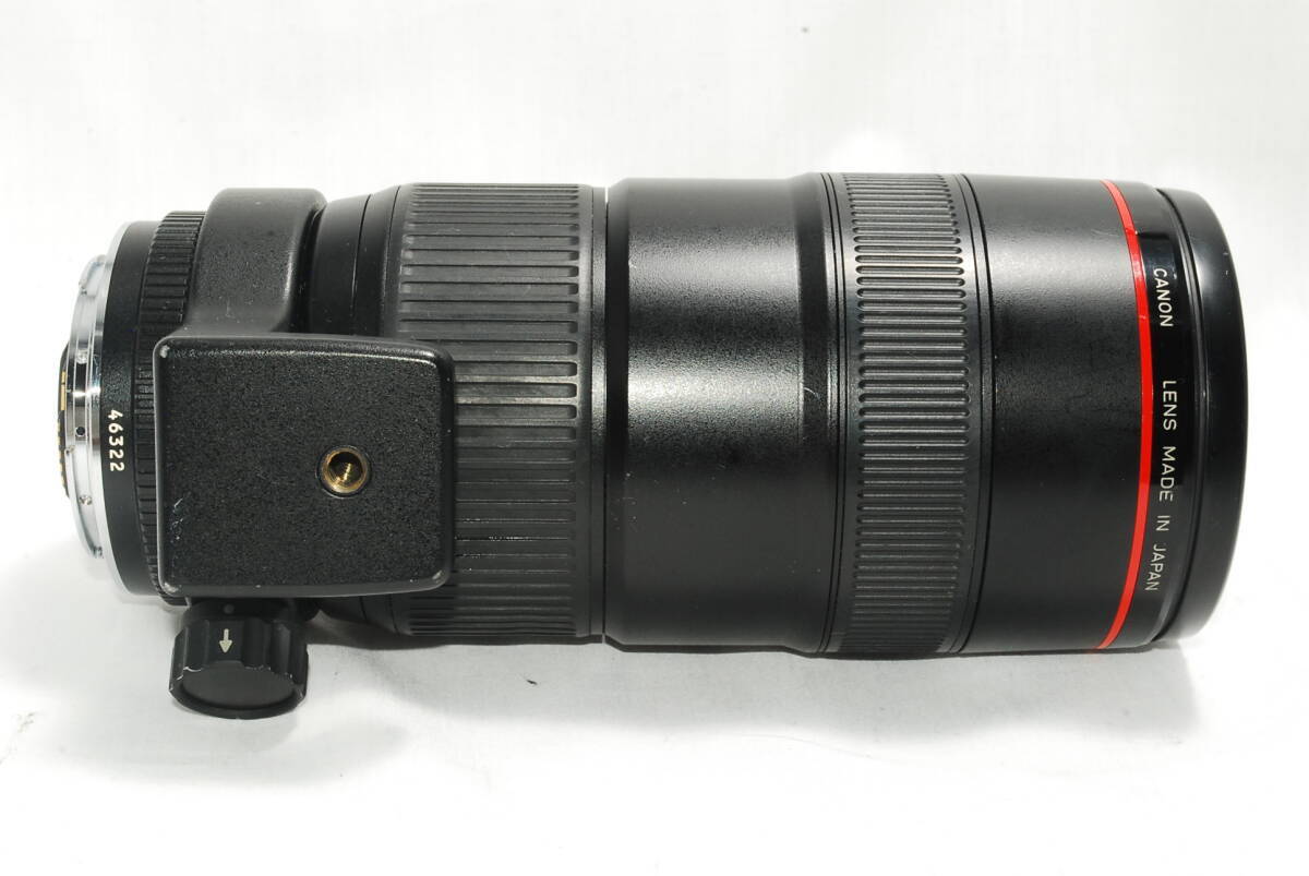 ★希少品・美品★ Canon EF 80-200ｍｍ F2.8 L #596M Canon Zoom Lens Ef 80-200Mm F2.8 F/2.8 L | eBay