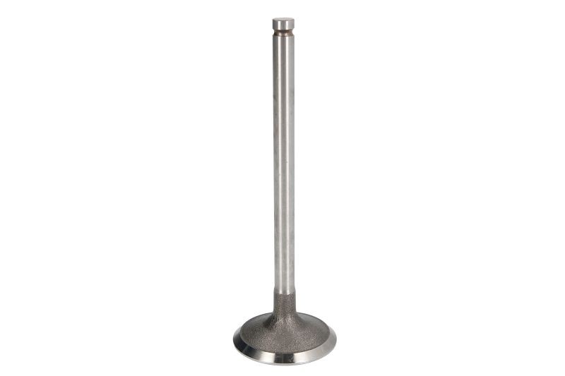 Für FRECCIA 6110/S Intake Valve 6110/S Intake valve (36,7x7x112,7) fits: CITROE