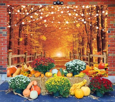 Autumn Backdrop Fall Pumpkin Harvest Rustic Forest Thanksgiving