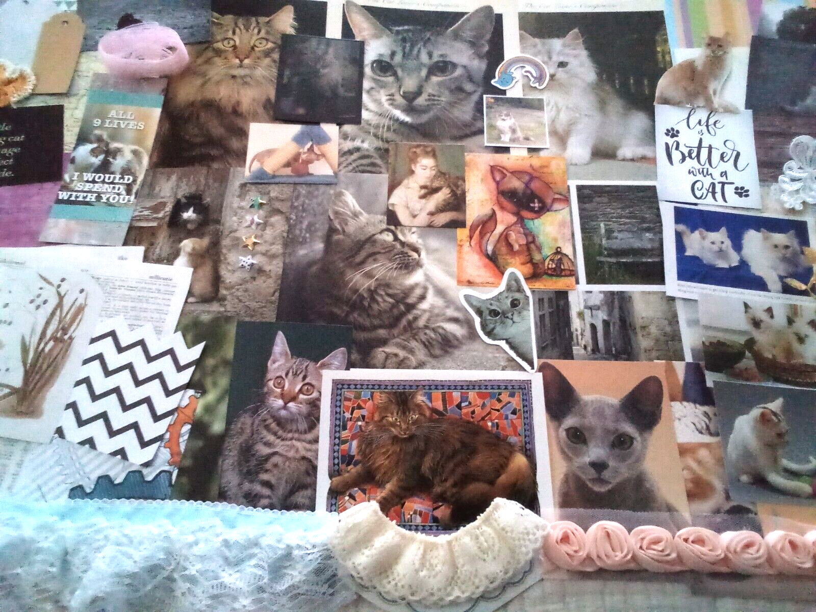 Journal/Scrapbook Supplies, 63 pc. Cats-image