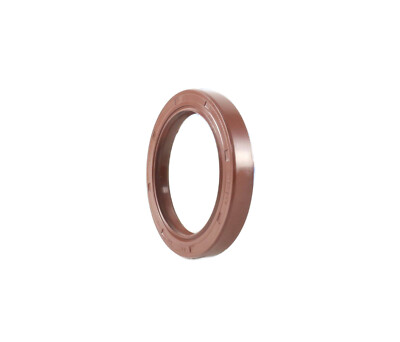 EAI 55x80x8mm FPM/FKM Oil Shaft Rotary Seal w/ Stainless Steel Spring Dbl Lip