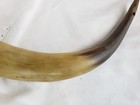 Antique Native Carved Powder Horn 11" — photo 4