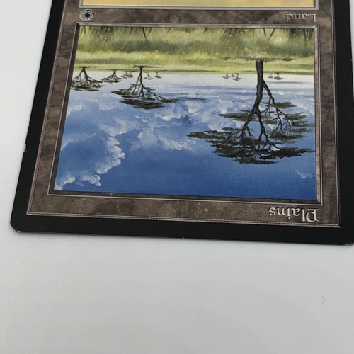 Magic The Gathering Plains Land Portal Cloud Right Flowers - Picture 6 of 16
