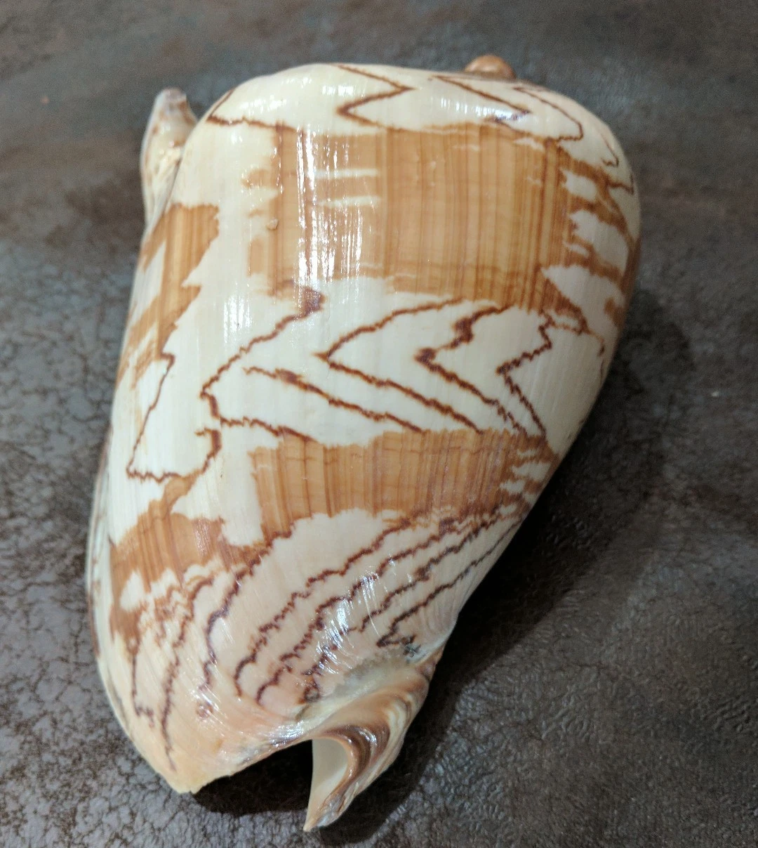 Picture 4 of 6