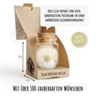 Bild 2 von 7