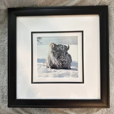 Bison In Snow “Good Life” MartII Herman Signed Framed 66/900 Exposures Fine Art