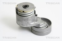 Triscan Riemenspanner, Keilrippenriemen U.A. FüR Mitsubishi, Nissan, Opel