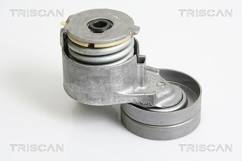 Triscan Riemenspanner, Keilrippenriemen U.A. FüR Mitsubishi, Nissan, Opel-image