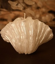 Sculptural Shell Candle Large Pearlescent Nautical Coastal Decor 6  Wide