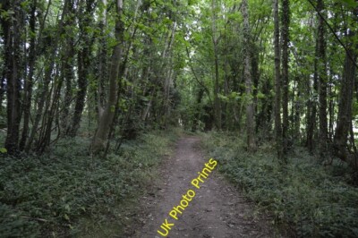 Foto 6x4 Permissive Path, Flint Heap Stanmer 2 c2015