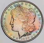 *1886 MORGAN DOLLAR* *GEM BU+++* *DUAL RAINBOW TONER* NR #CVIP93