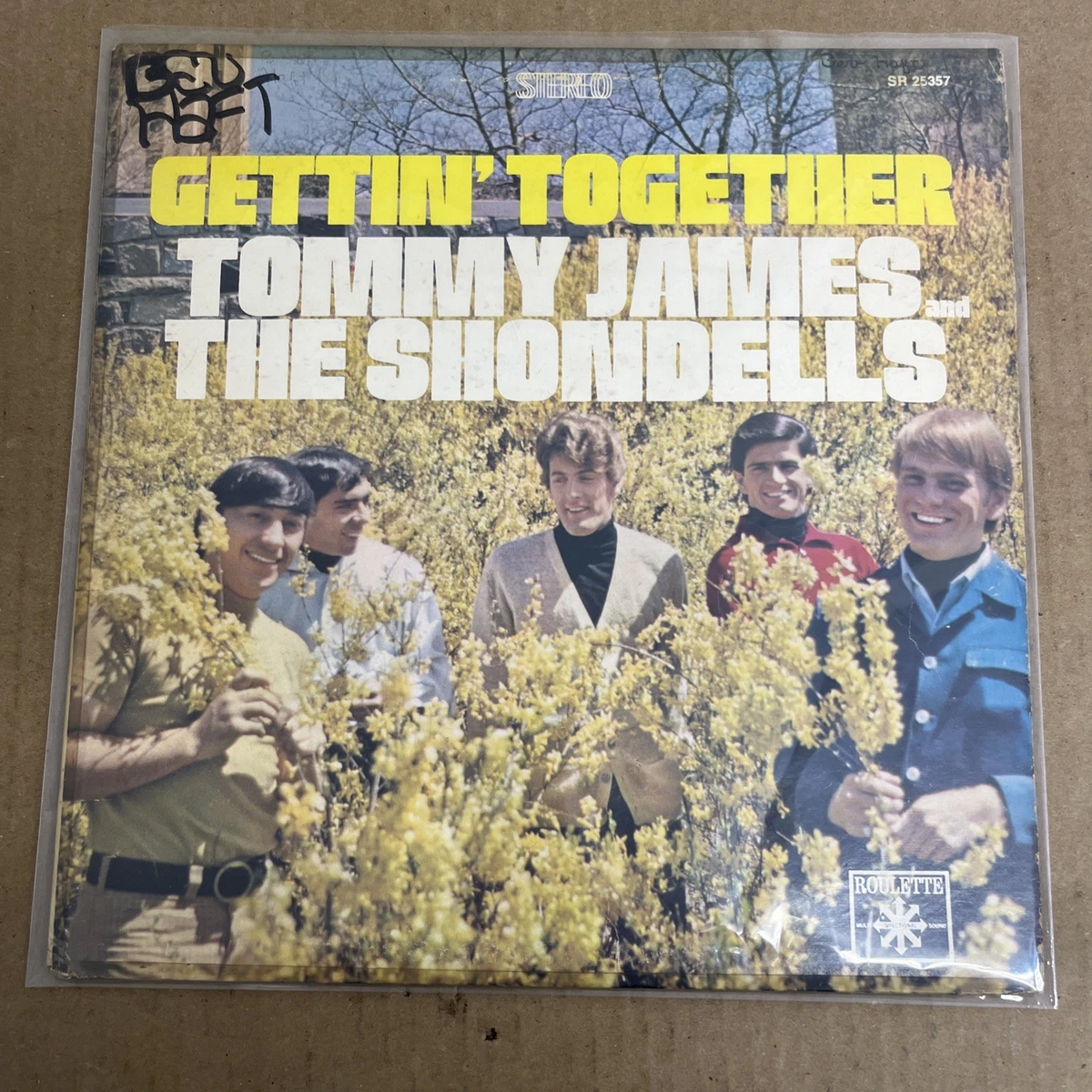  JAMES AND THE SHONDELLS レコード Tommy James And The Shondells In Vinyl Records for sale - eBay