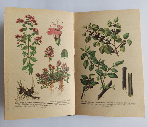 Medicinal plants of Ukraine with illustrations Soviet vintage book USSR - Picture 6 of 14