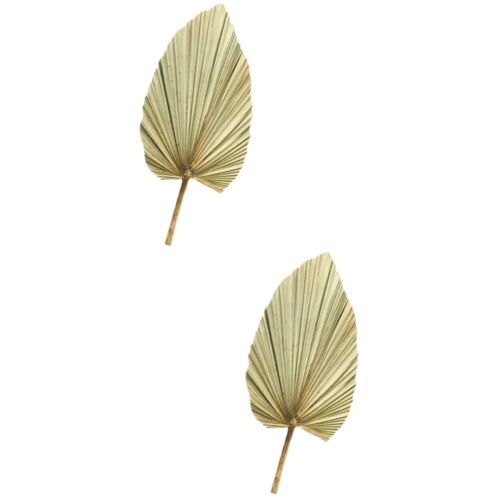 Dried Palm Fans Woven Fan Bridal Bouquet Handheld Cooling Fan - Picture 17 of 21