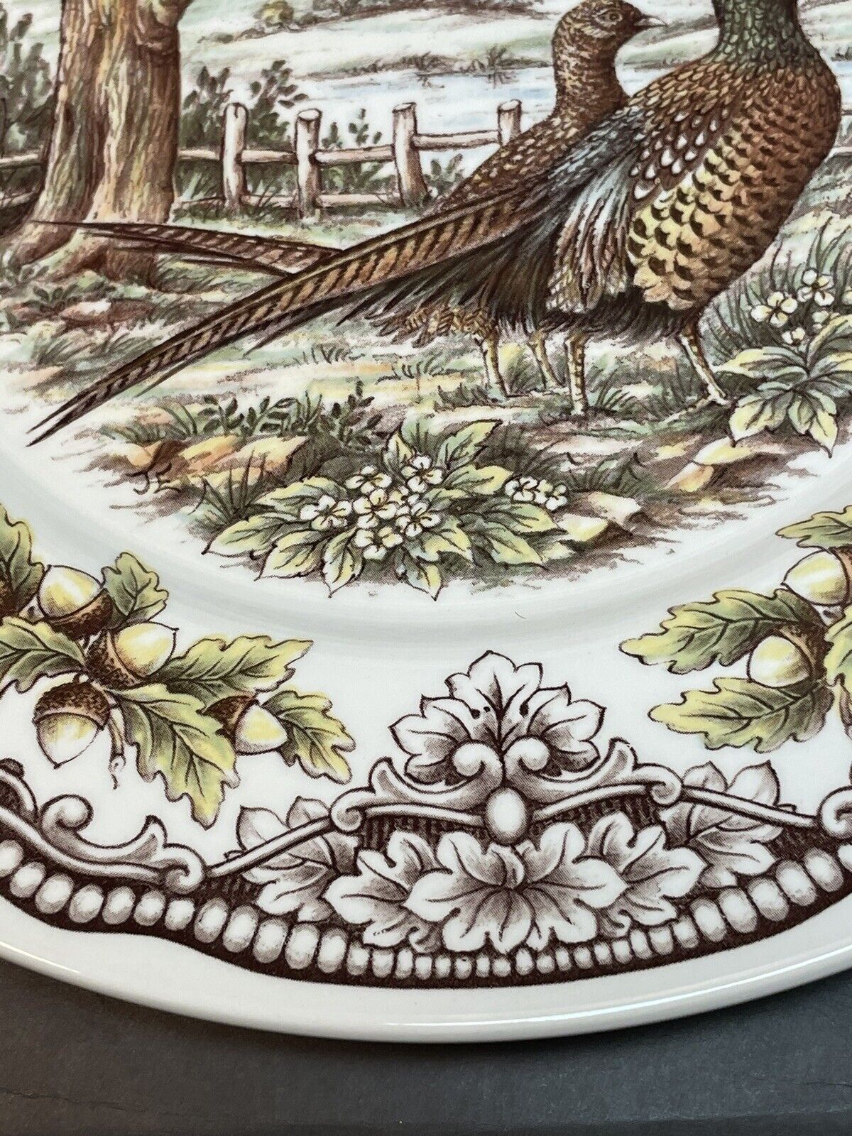 Picture 5 of 11