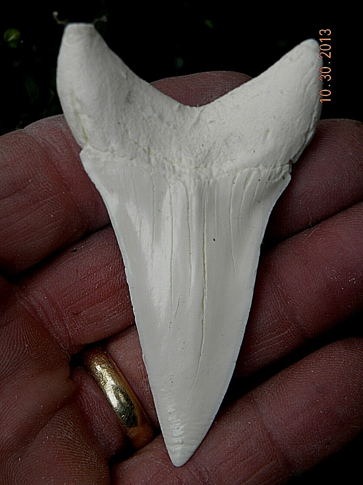 Picture 2 of 6