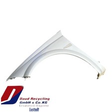 Renault Megane CC Kotflügel Links Farbe TED69