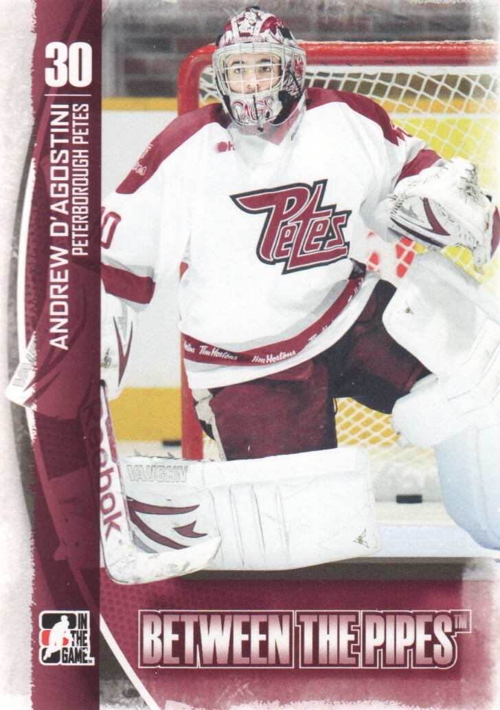 2013-14 Between the Pipes #24 Andrew D'Agostini CHL - HKY