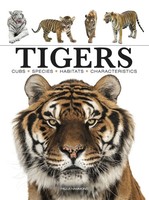 Paula Hammond | Tigers | Taschenbuch | Englisch (2023) | Kartoniert / Broschiert