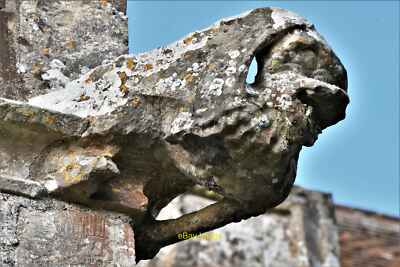 Foto 6x4 Codford St Peter, St. Peter's Church: Grotesken und Wasserspeier um 2021
