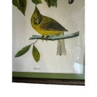 Picture 4 of 6