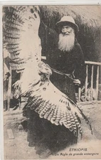 CPA de l'ETHIOPIE " un aigle de grande envergure "