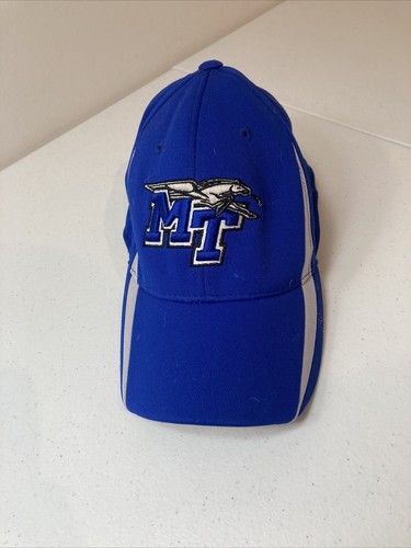 Top Of The World MTSU Middle Tennessee 