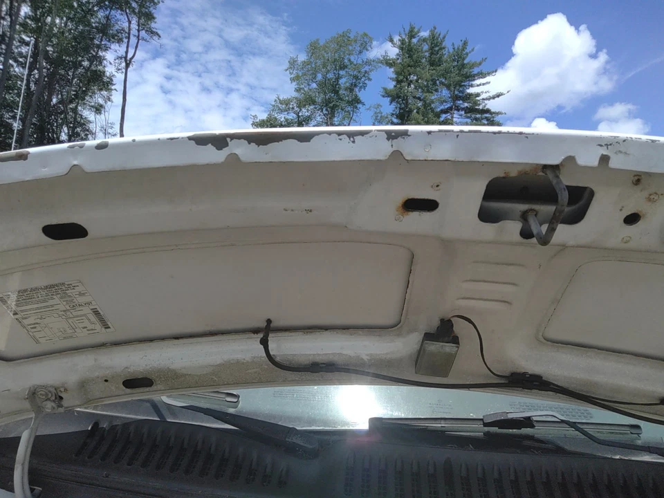 00 DODGE VAN 3500 SERIE Hood Paint Peeling Foto 3 de 4