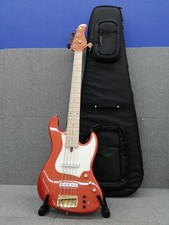 DRAGONFLY CL-DJB5 DG ASH/MAP AC/MH Electric Bass Guitar