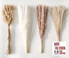 Dried Pampas Grass Decor 110 PCS Dried Plants,Dried Multi-colored-100pcs