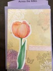 Bild 85 von 97