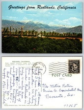 Redlands California Mountains Orange Groves Postcard
