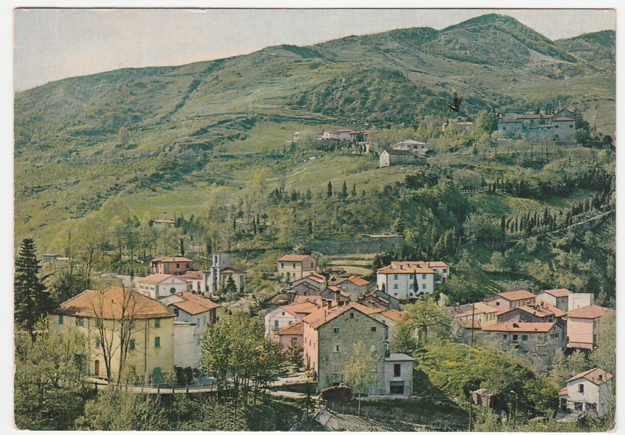 S. BENEDETTO IN ALPE - FORLI' - PANORAMA - VIAGG. 1976 -20657-