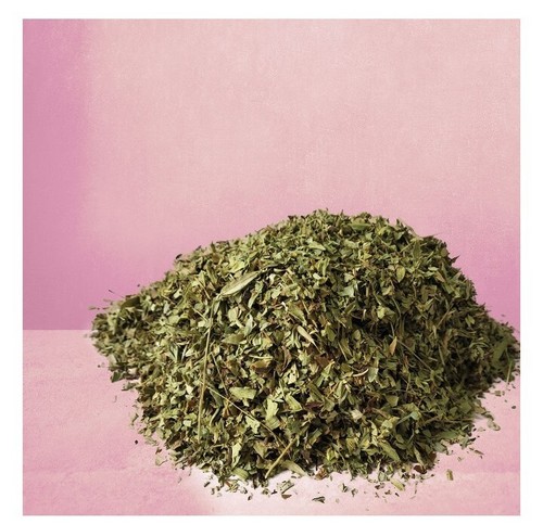 Mojo Herb, Jamaican Mojo Herb, Herbs For Detox, Herbs