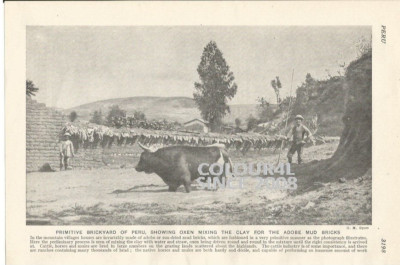 PERU BRICKYARD LEHMZIEGEL OCHSEN MISCHEN um 1926 FOTO ILLUSTRATION DRUCK