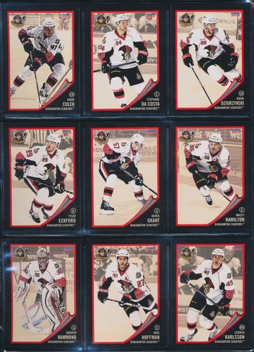 2006-07 to 2015-16 Choice Binghamton Senators AHL Team Set Single Cards - U PICK - Picture 111 of 194