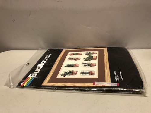 Counted Cross Stitch Bucilla Cactus Sampler 9"x12" Brooke Morrison 40287 - Picture 9 of 12